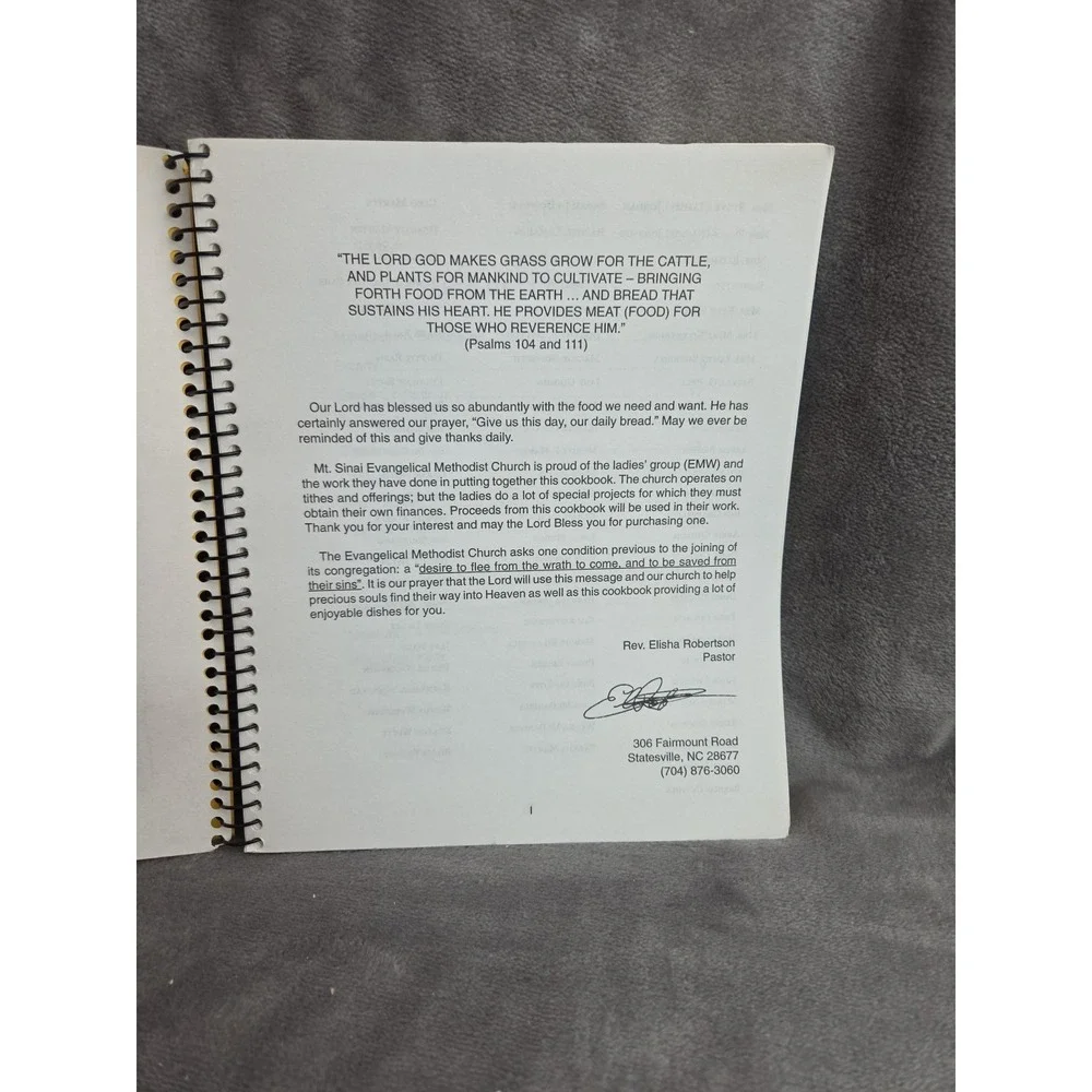 Mt. Sinai Evangelical Methodist Women Cookbook Statesville, NC Recipe Book Local